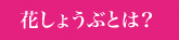 花しょうぶとは？